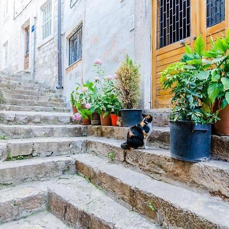 Apartment Ivona Dubrovnik Bagian luar foto