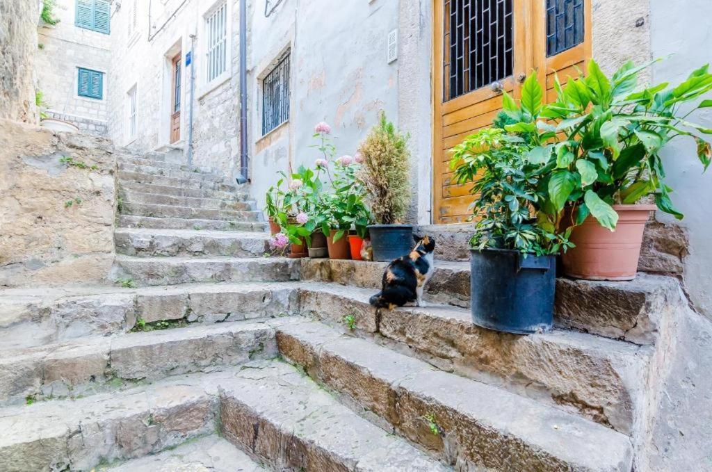 Apartment Ivona Dubrovnik Bagian luar foto